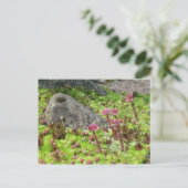 Zware landschap briefkaart (Staand voorkant)