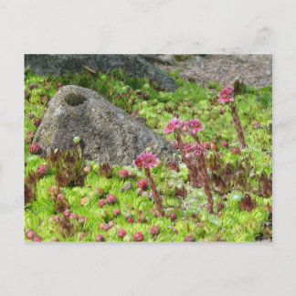 Zware landschap briefkaart