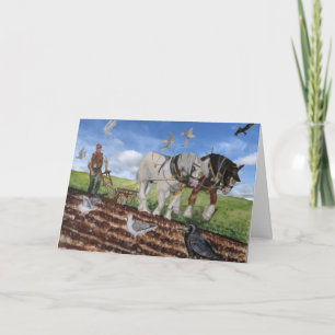 Zware paarden stroomden in maart blanco  kaart