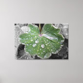 zware regenval canvas afdruk (Voorkant)