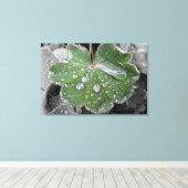 zware regenval canvas afdruk (Insitu (Houten vloer))