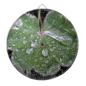 zware regenval dartbord (Voorkant)