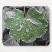 zware regenval muismat (Voorkant)