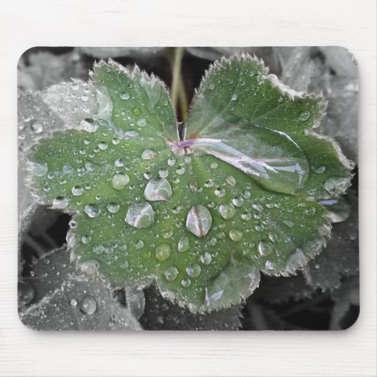 zware regenval muismat (Voorkant)