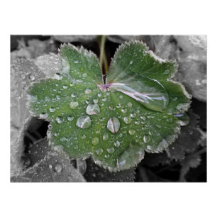 zware regenval perfect poster