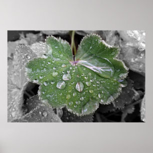 zware regenval poster