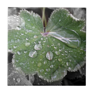 zware regenval tegeltje