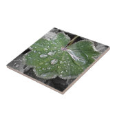 zware regenval tegeltje (Zijkant)