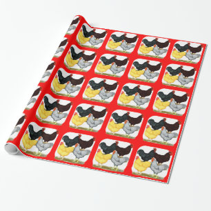Zware rooster Chicken Quartet Cadeaupapier