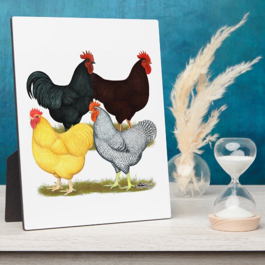 Zware rooster Chicken Quartet Fotoplaat (Zijkant)