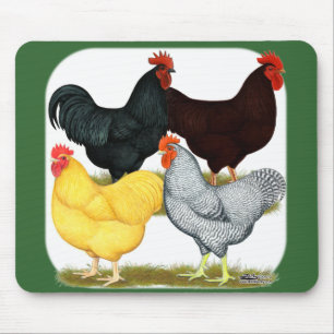 Zware rooster Chicken Quartet Muismat