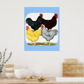 Zware rooster Chicken Quartet Poster (Keuken)