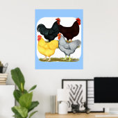 Zware rooster Chicken Quartet Poster (Thuiskantoor)