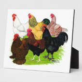 Zware Rooster-evaluatie Fotoplaat (Zijkant)
