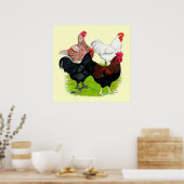 Zware Rooster Quartet Poster (Keuken)