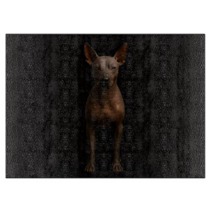 Zwart 4 Luxe Glas bord Argentina Pila Dog Snijplank