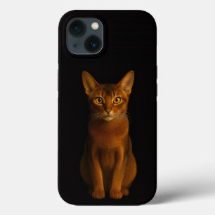 Zwart 4 Luxe iPhone 13, Abyssinian Beauty 13 Hoesje