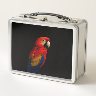 Zwart 4 Luxe RVS Lunchbox Scarlett papegaai