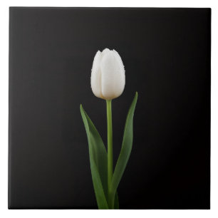 Zwart 4 Luxe Tegels met Parelwitte Tulp Tegeltje