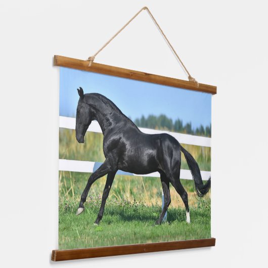 Zwart Akhal Teke hengst Galloping Paddock hek Hangend Wandkleed (Gebogen)