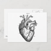 Zwart anatomisch hart briefkaart (Voorkant / Achterkant)