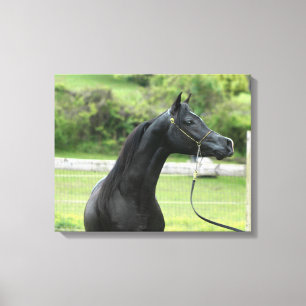 Zwart Arabisch stalledoek Canvas Afdruk