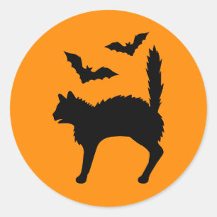 Zwart bang kat met vleermuizen Halloween Sinaasapp Ronde Sticker