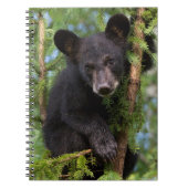 Zwart Beer afspelen in bomen Notitieboek (Voorkant)