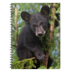 Zwart Beer afspelen in bomen Notitieboek