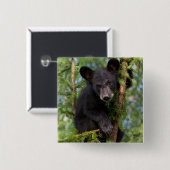 Zwart Beer afspelen in bomen Vierkante Button 5,1 Cm (Voorkant /achterkant)