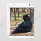 Zwart beer briefkaart (Voorkant / Achterkant)