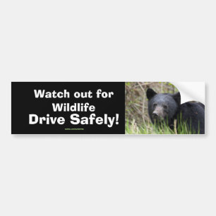 Zwart Beer Cub Wildlife Supporter Bumpersticker