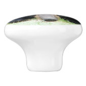 Zwart Beer - "Cubby Love"-keramische knop (Zijkant)