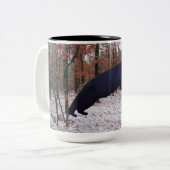 Zwart Beer dat een voedervat in de Mok van het bos (Voorkant links)