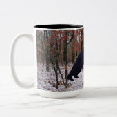 Zwart Beer dat een voedervat in de Mok van het bos (Links)