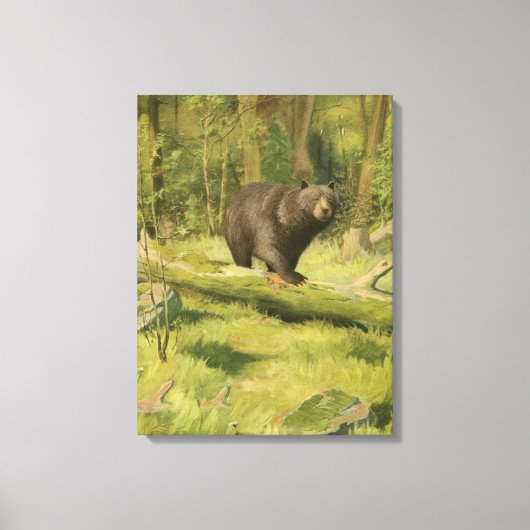 Zwart Beer dat op een boomstam steekt Canvas Afdruk (Voorkant)