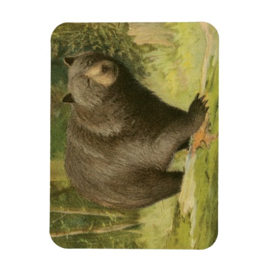 Zwart Beer dat op een boomstam steekt Magneet (Verticaal)