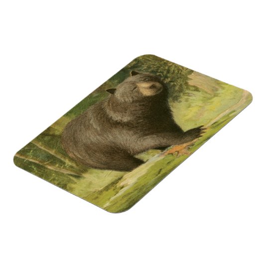 Zwart Beer dat op een boomstam steekt Magneet (Linkerzijde)