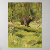 Zwart Beer dat op een boomstam steekt Poster (Voorkant)