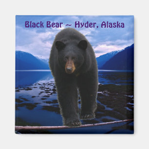 ZWART BEER Hyder, Alaska Wildlife Magnet Magneet