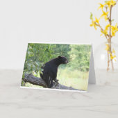 zwart beer in boom kaart (Gele Bloem)