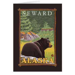 Zwart Beer in de bosbouw - Seward, Alaska