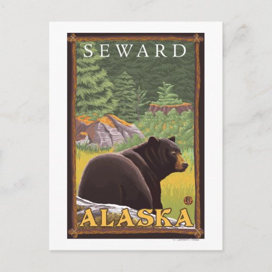 Zwart Beer in de bosbouw - Seward, Alaska Briefkaart (Voorkant)