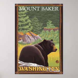 Zwart Beer in het bos - Mount Baker, Washington Poster