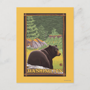 Zwart Beer in het bos - Washington Briefkaart