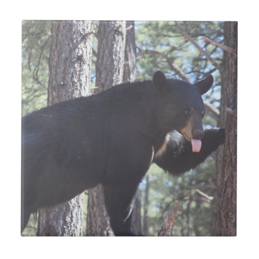 Zwart Beer Keramische Tegel Tegeltje (Voorkant)