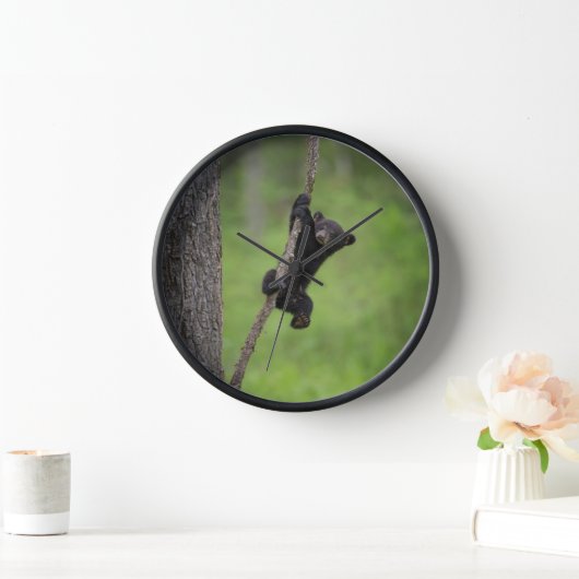 Zwart Beer Keuk op boomarm (Huis)