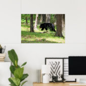 Zwart Beer nabij Campground Poster (Thuiskantoor)