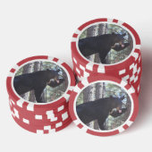 Zwart Beer Poker Chips (Opstapeling)