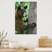 Zwart Beer Poster (Keuken)